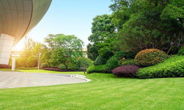 Cost of Commercial Lawn Mowing in Lilburn