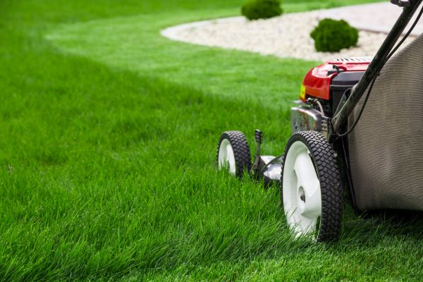 Cost of Lawn Cutting Service in Lilburn