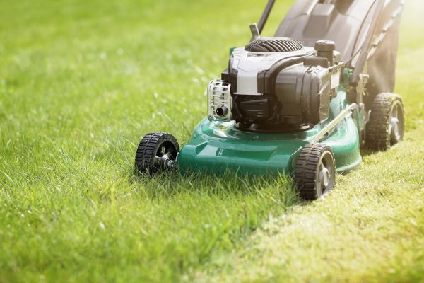 Cost of Yard Cutting in Lilburn