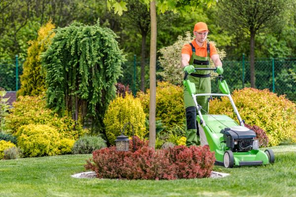 Cost of Yard Service in Lilburn