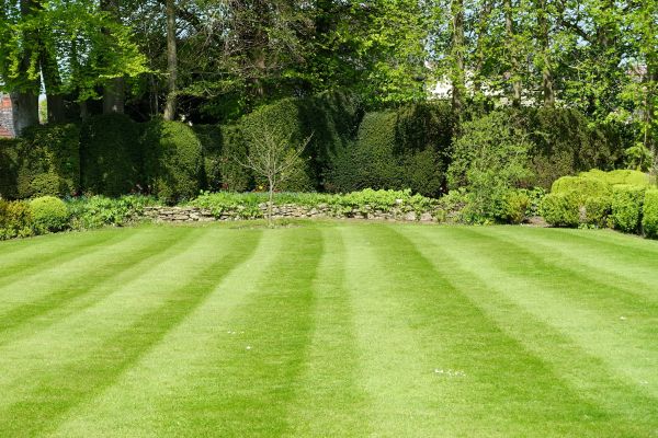 Cost of Grass Care Service in Lilburn