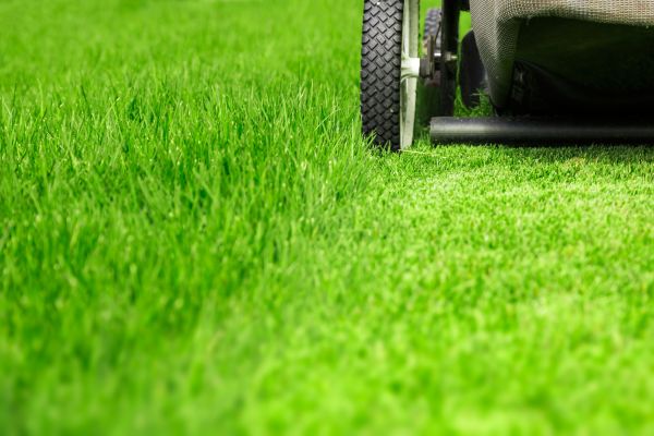 Cost of Weekly Lawn Care in Lilburn