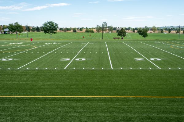 Cost of Groundskeeping Service in Lilburn