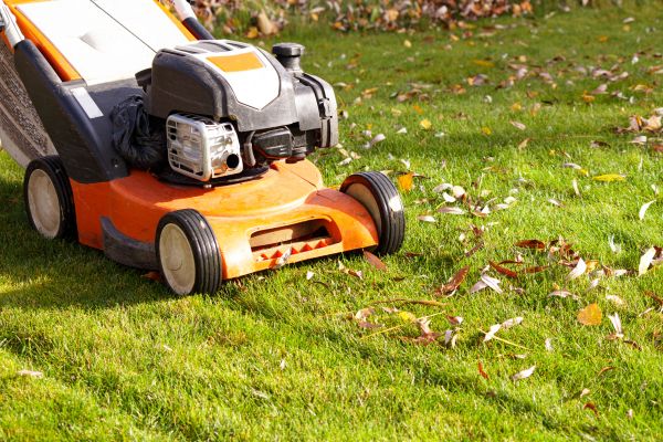 Cost of Fall Mowing in Lilburn