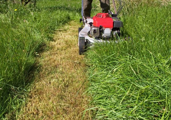 Cost of Leaf Mowing in Lilburn