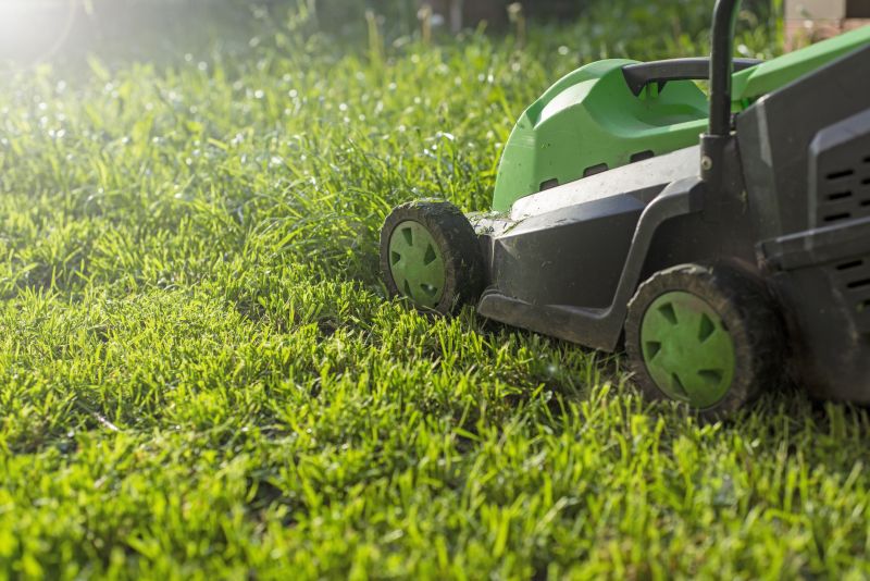 Business Lawn Maintenance detail